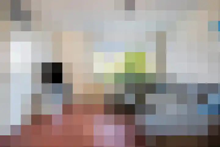 Hoevelakenstraat 16 Tilburg thumbnail 7