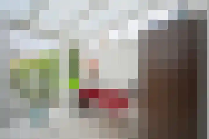 Hoevelakenstraat 24 Tilburg thumbnail 11
