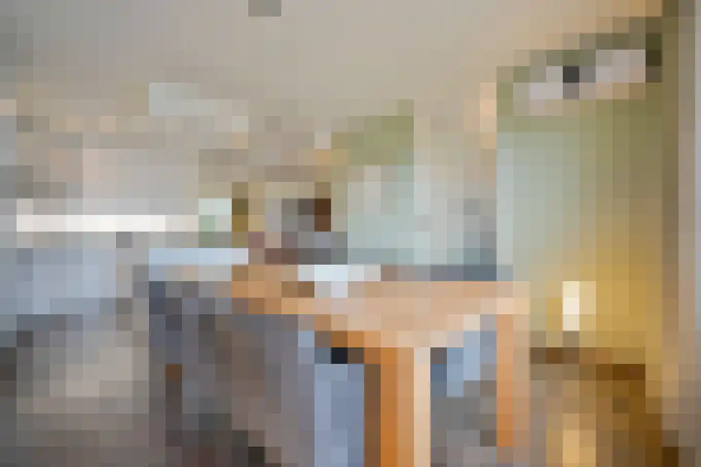 Hoevelakenstraat 24 Tilburg thumbnail 15