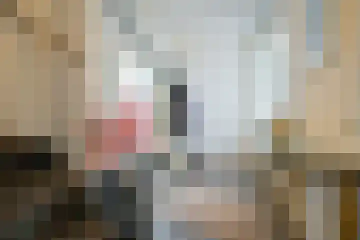 Hoevelakenstraat 24 Tilburg thumbnail 23