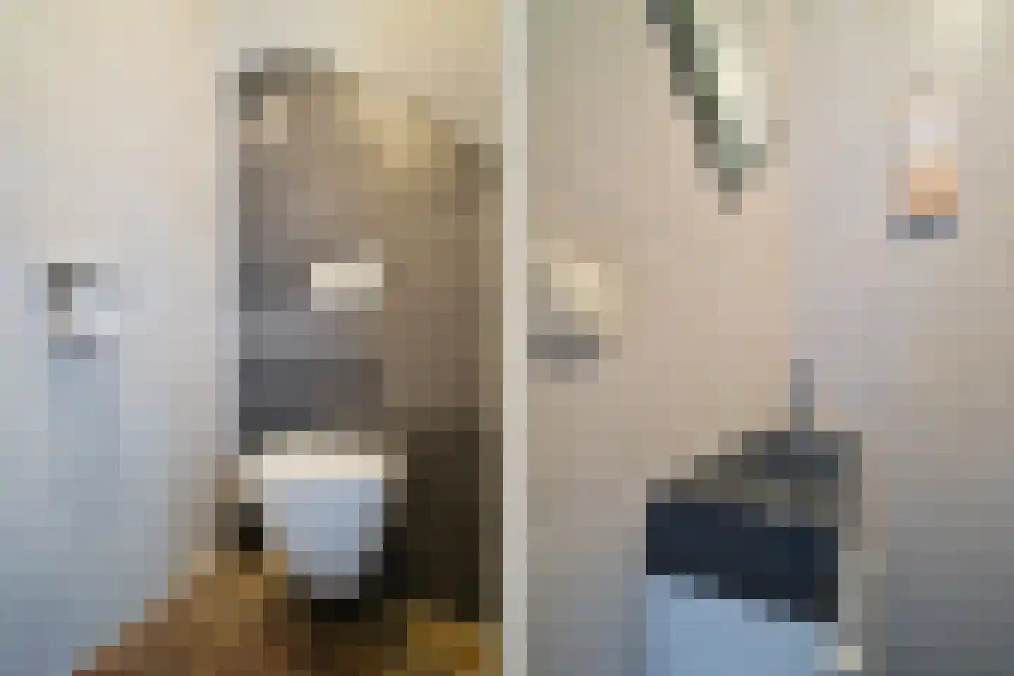 Hoevelakenstraat 24 Tilburg thumbnail 24
