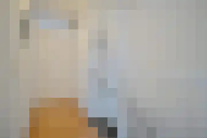 Hoevelakenstraat 24 Tilburg thumbnail 26