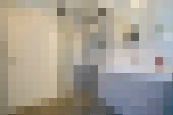 Hoevelakenstraat 24 Tilburg thumbnail 33