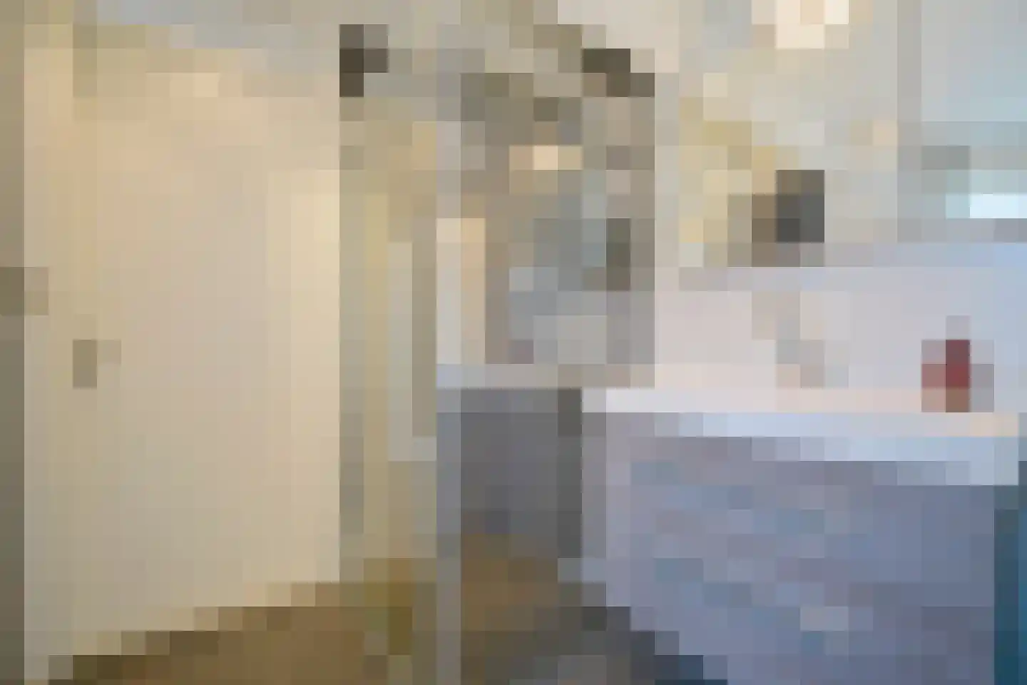 Hoevelakenstraat 24 Tilburg thumbnail 33