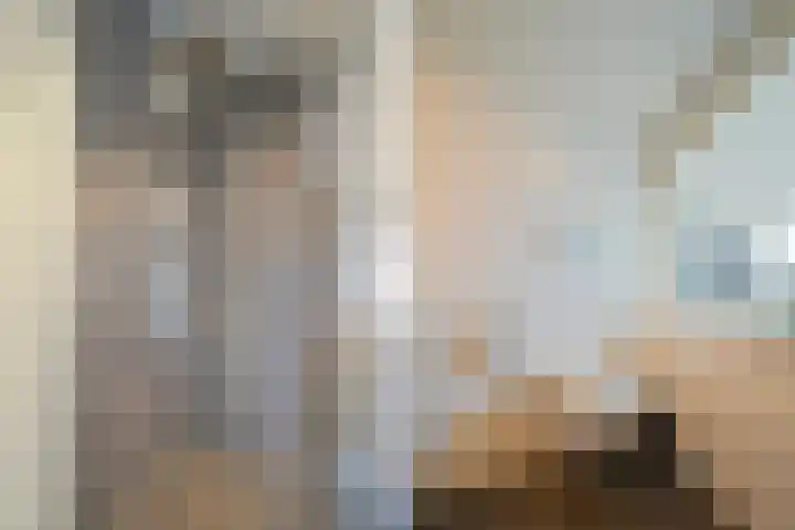 Hoevelakenstraat 24 Tilburg thumbnail 34