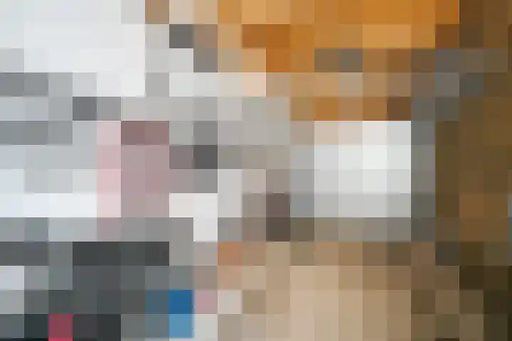 Hoevelakenstraat 24 Tilburg thumbnail 44