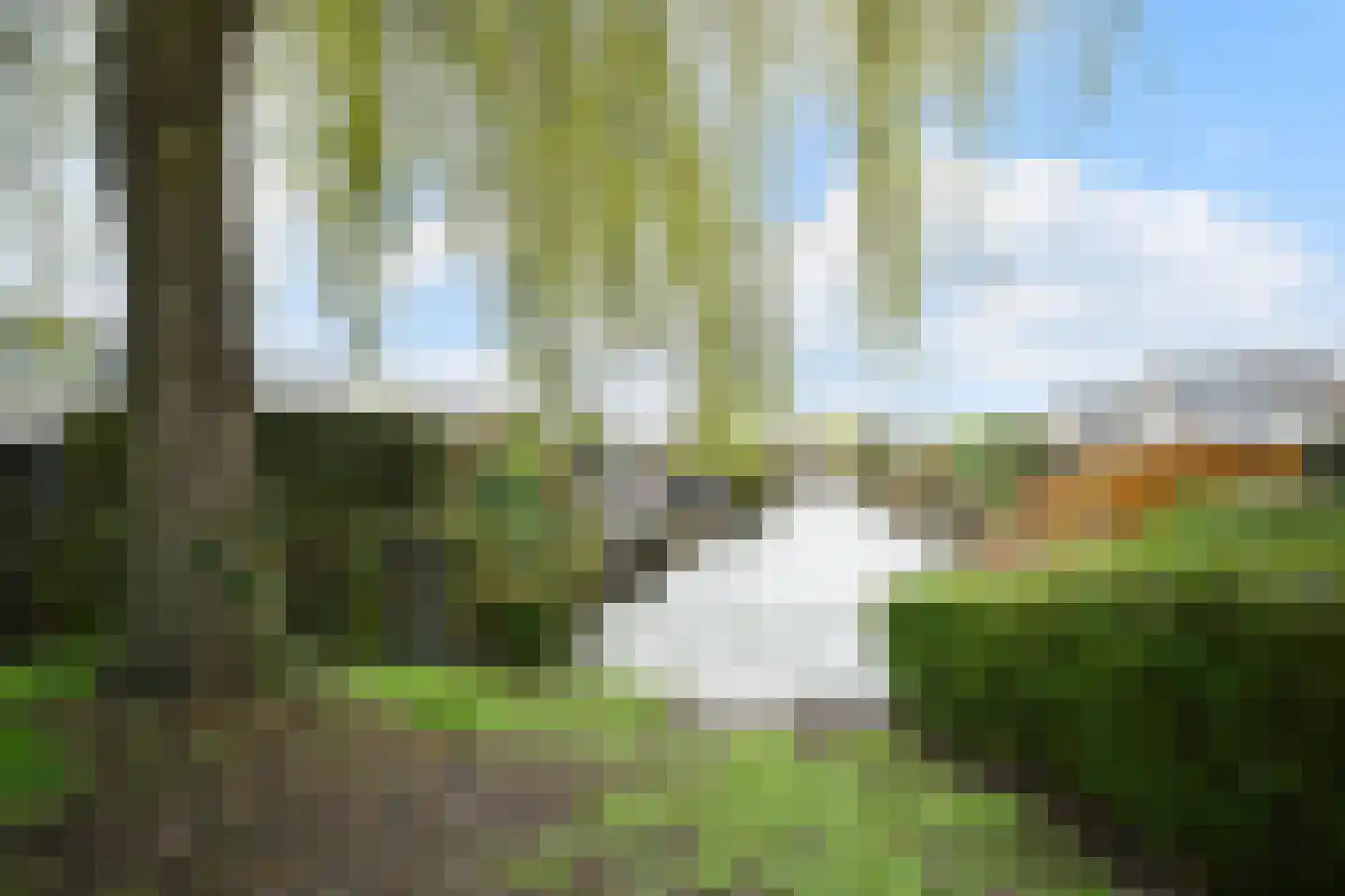 Hoevelakenstraat 24 Tilburg thumbnail 45