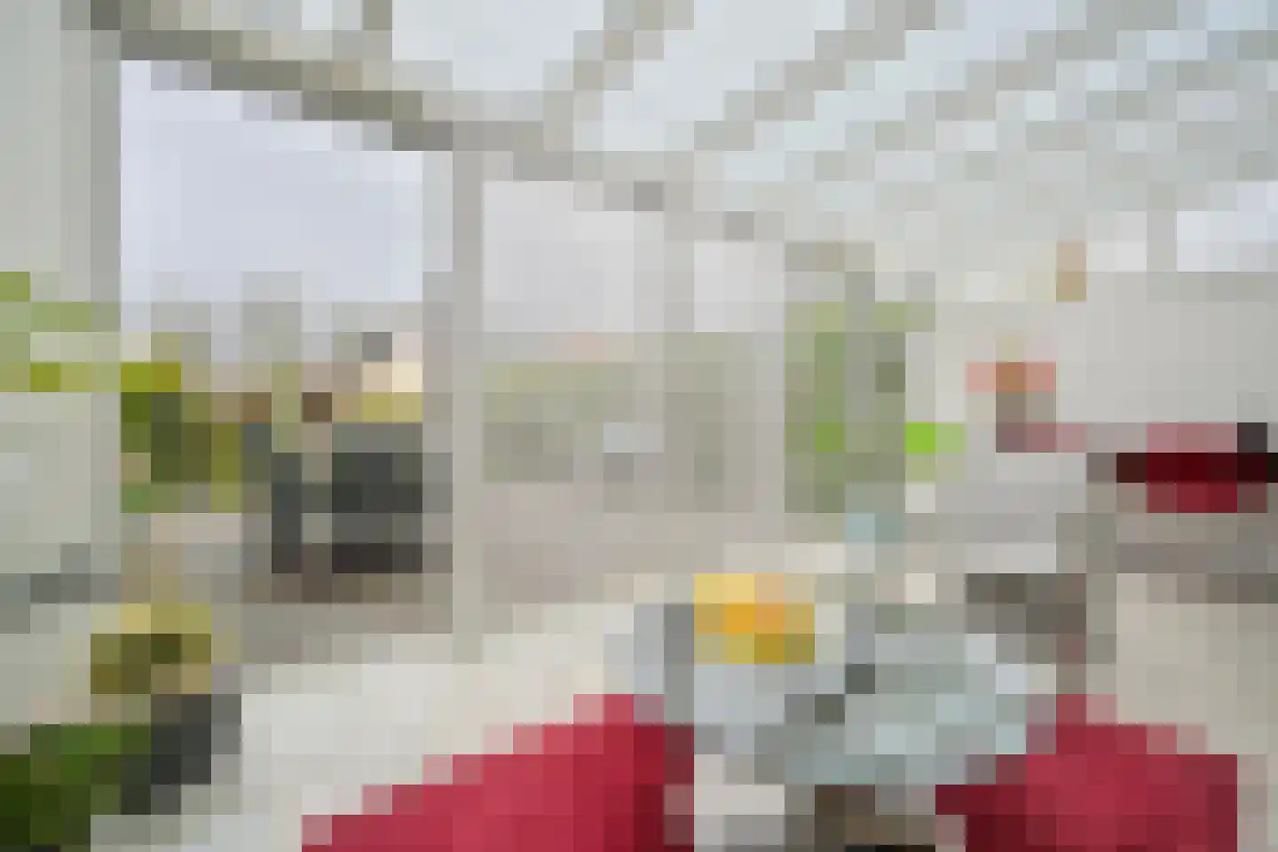 Hoevelakenstraat 24 Tilburg thumbnail 8