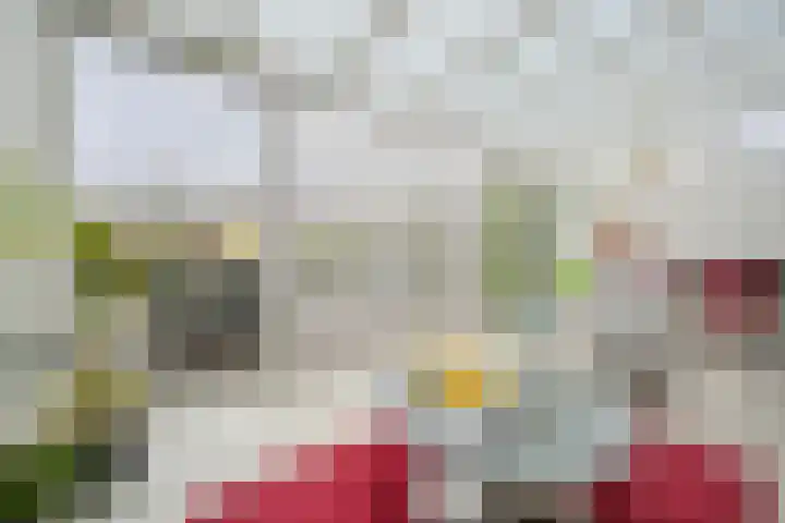 Hoevelakenstraat 24 Tilburg thumbnail 8