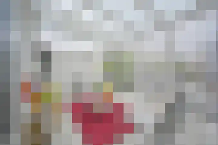 Hoevelakenstraat 24 Tilburg thumbnail 9