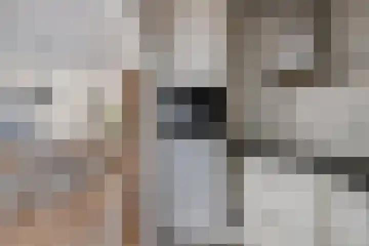 Hoevelakenstraat 70 Tilburg thumbnail 17