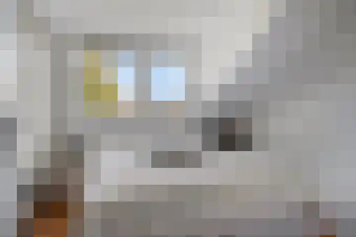 Hoevelakenstraat 70 Tilburg thumbnail 29