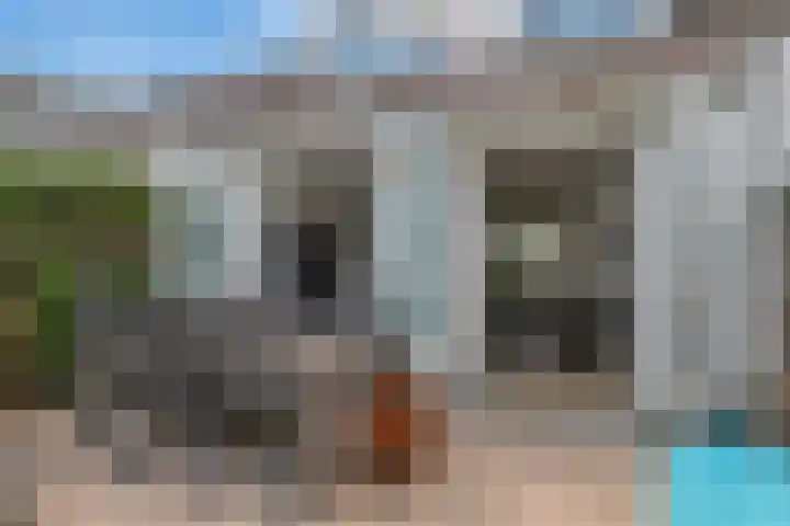 Hoevelakenstraat 70 Tilburg thumbnail 38