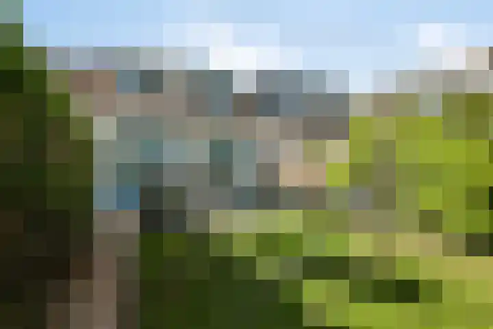 Hoevelakenstraat 70 Tilburg thumbnail 4