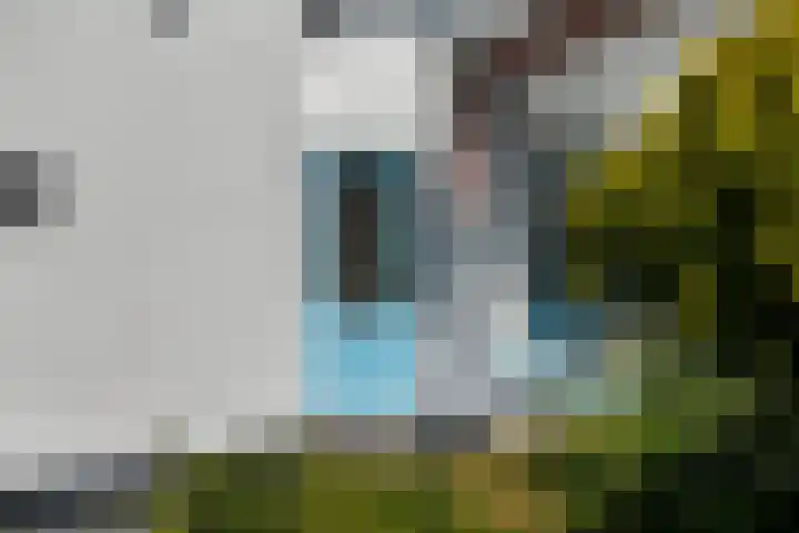 Hoevelakenstraat 70 Tilburg thumbnail 5