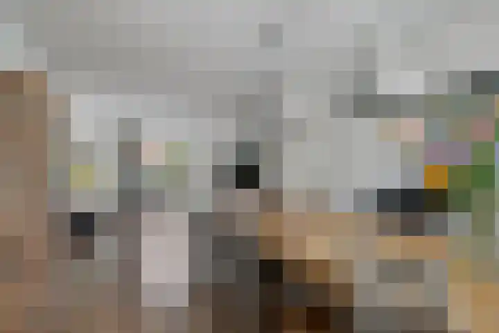 Hoevelakenstraat 70 Tilburg thumbnail 6