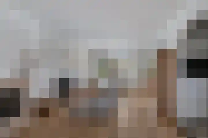 Hoevelakenstraat 70 Tilburg thumbnail 7
