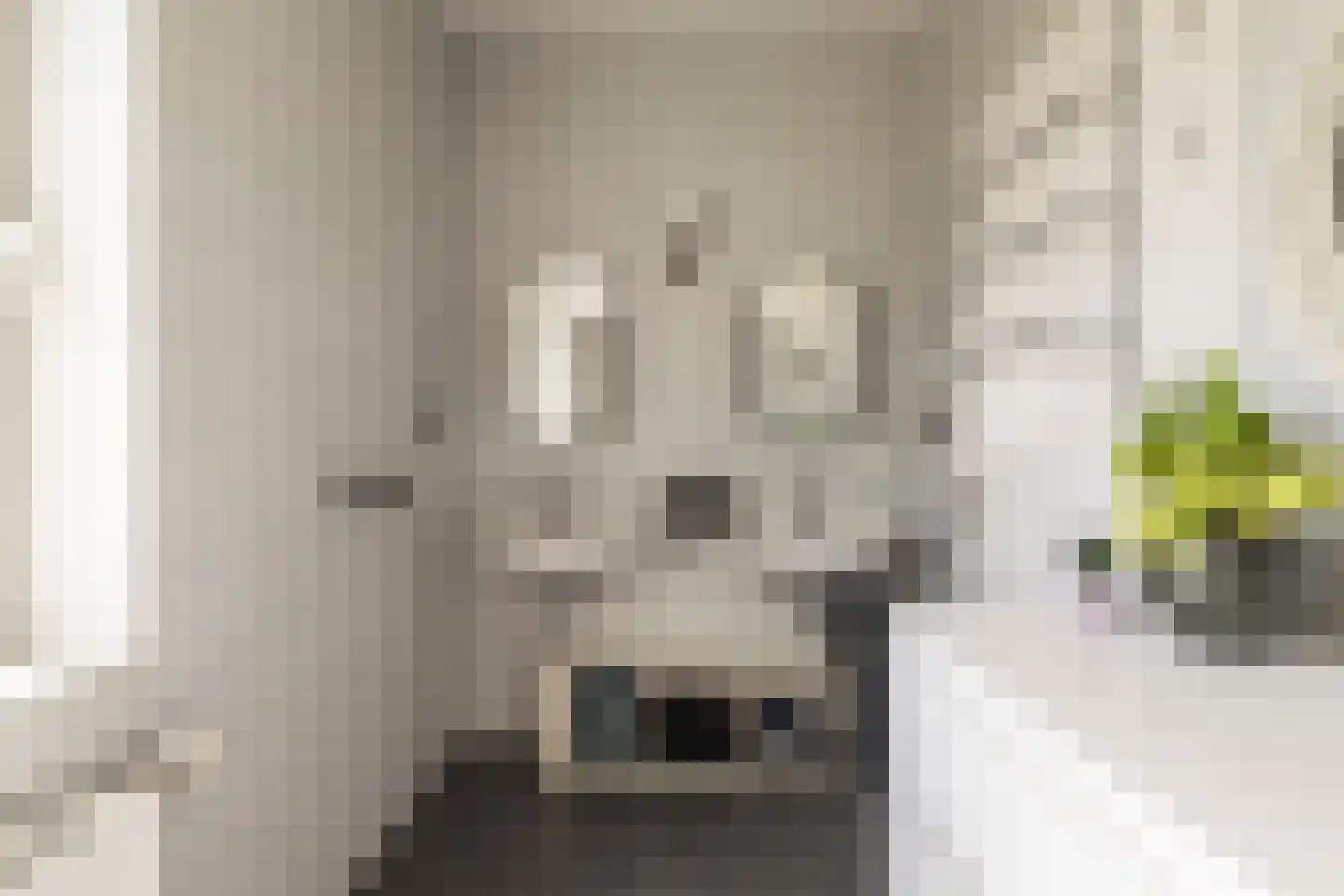 Hoeveloopweg 60 Abbega thumbnail 15