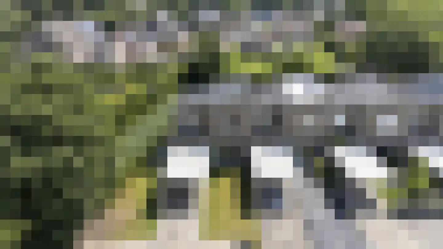 Hoeveloopweg 60 Abbega thumbnail 22