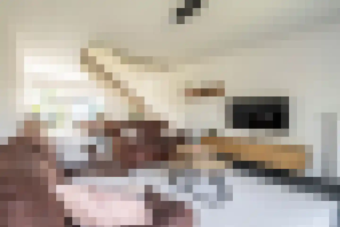 Hoeveloopweg 60 Abbega thumbnail 4