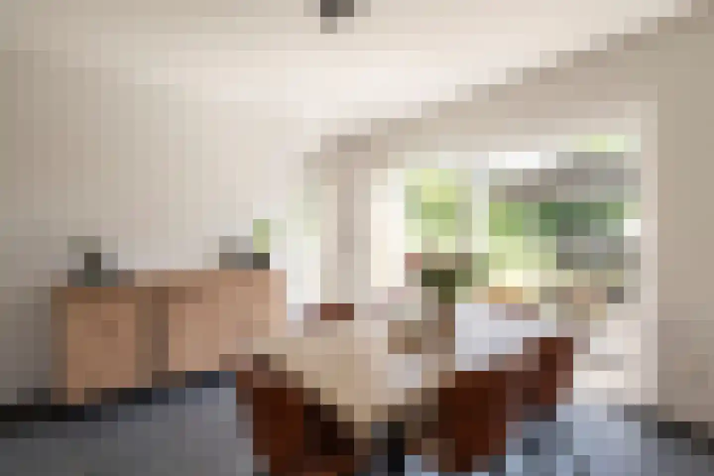 Hoeveloopweg 60 Abbega thumbnail 6