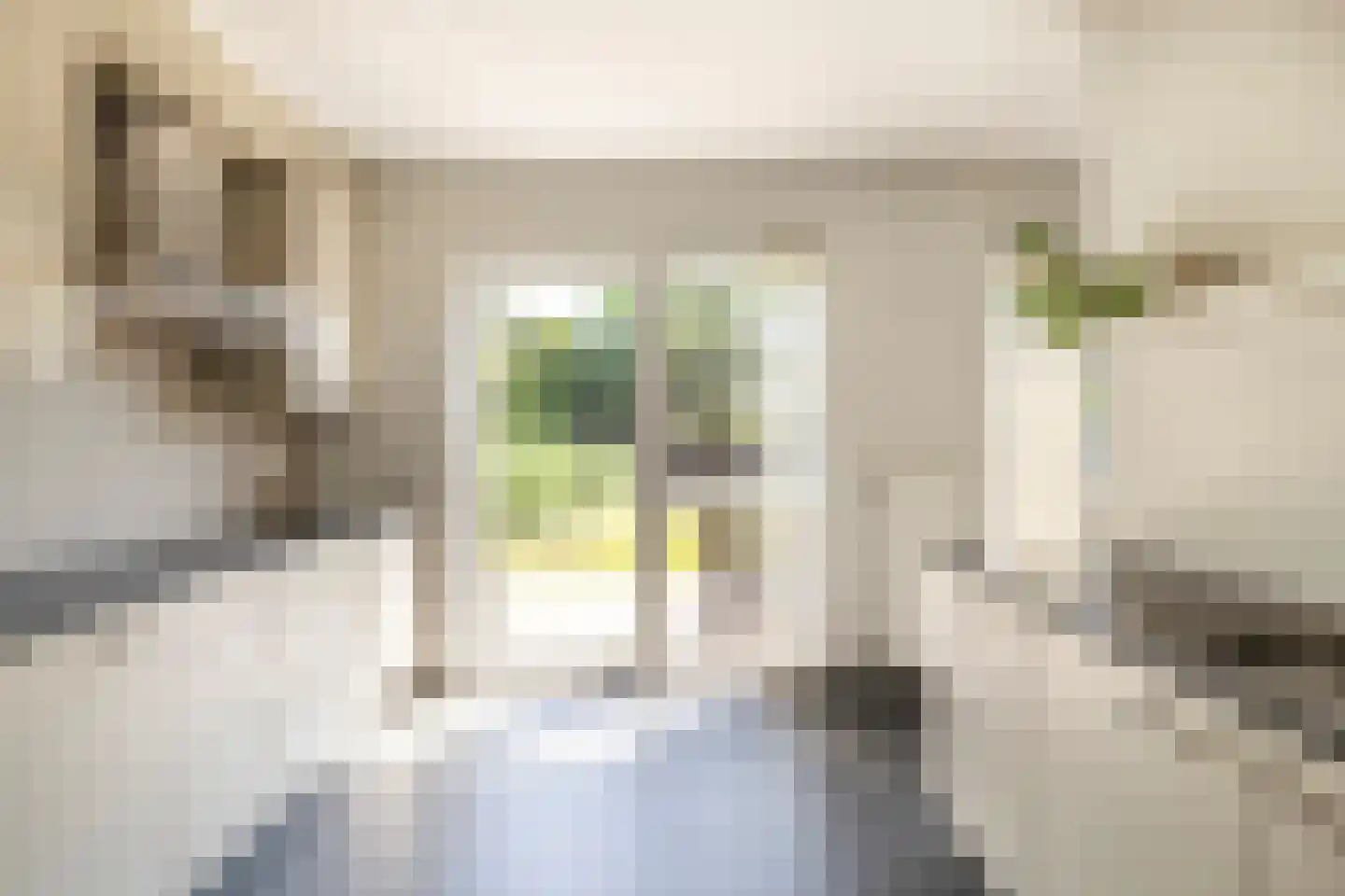 Hoeveloopweg 60 Abbega thumbnail 8