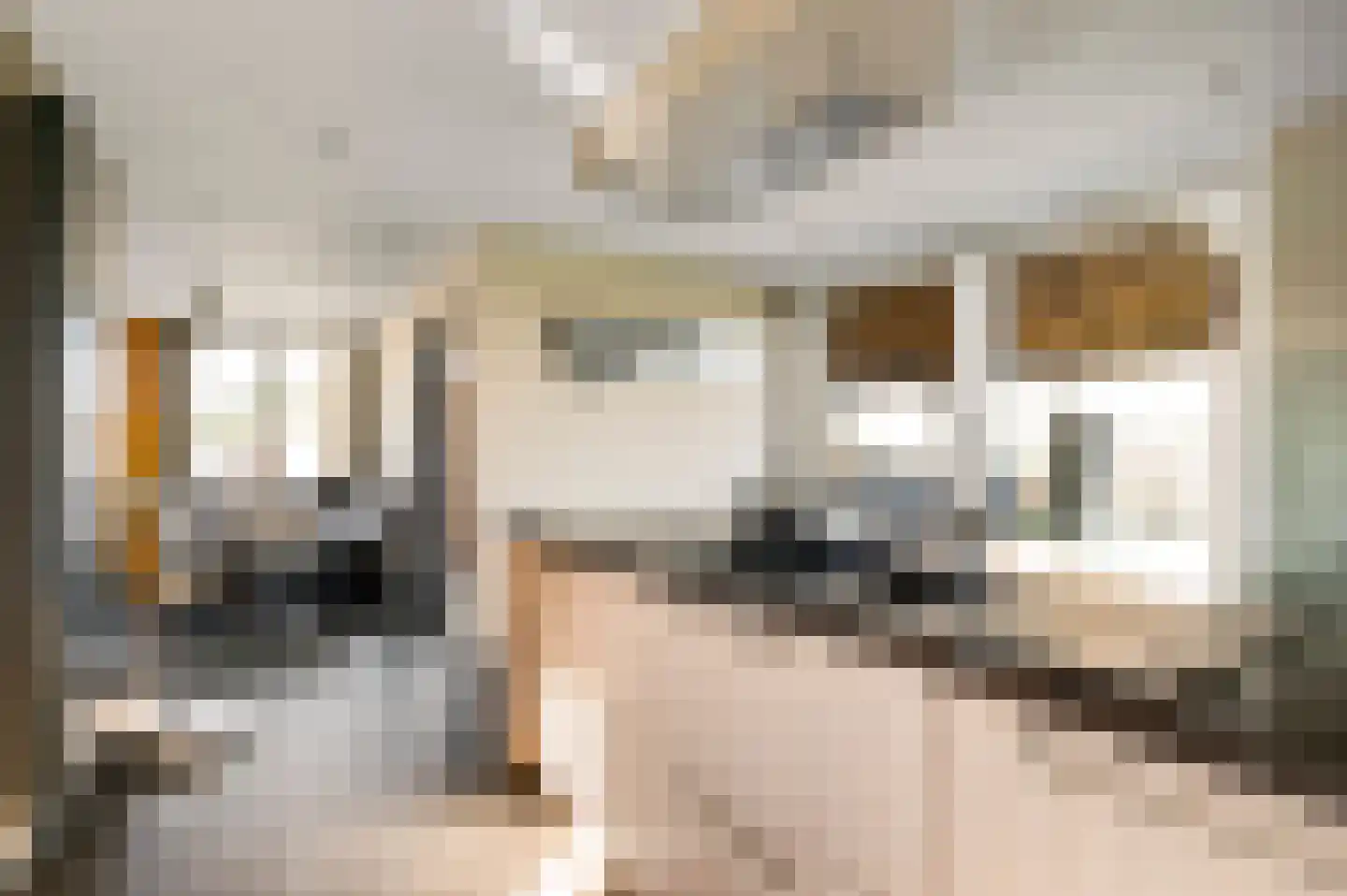 Hoeven 3 Nederweert-Eind thumbnail 13