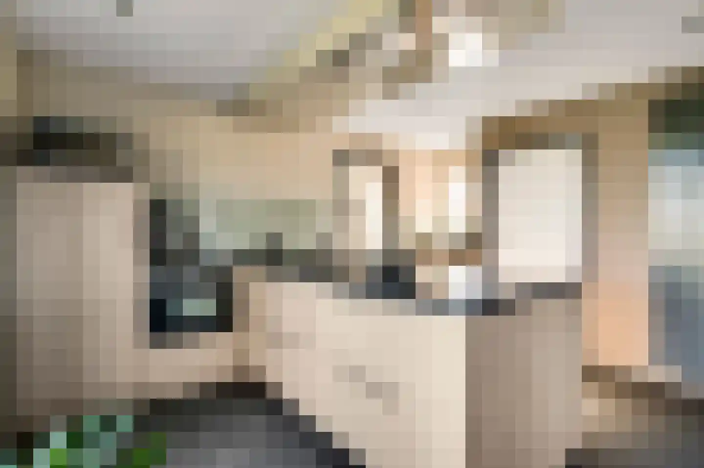 Hoeven 3 Nederweert-Eind thumbnail 14