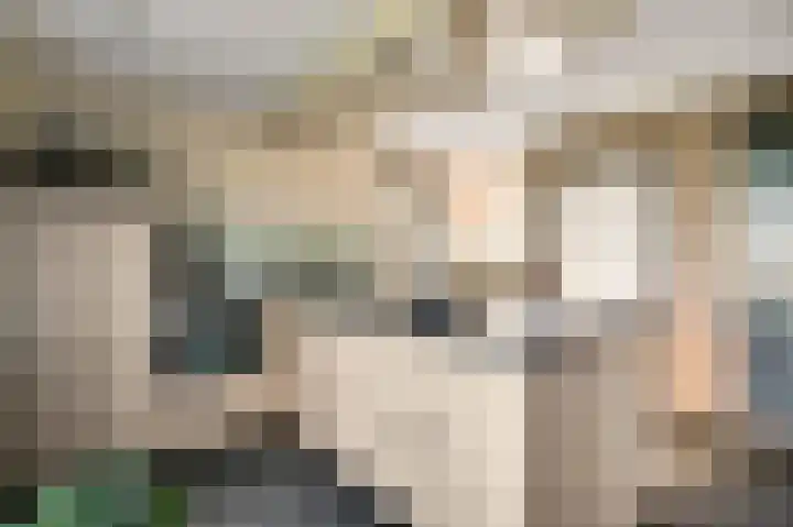 Hoeven 3 Nederweert-Eind thumbnail 14
