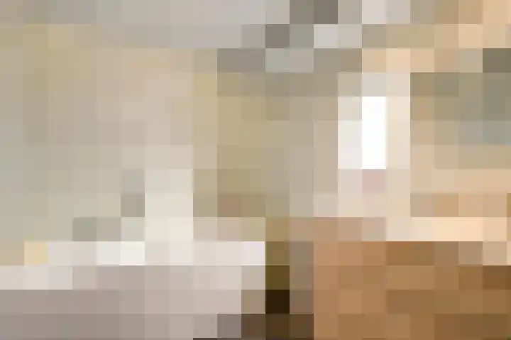 Hoeven 3 Nederweert-Eind thumbnail 19