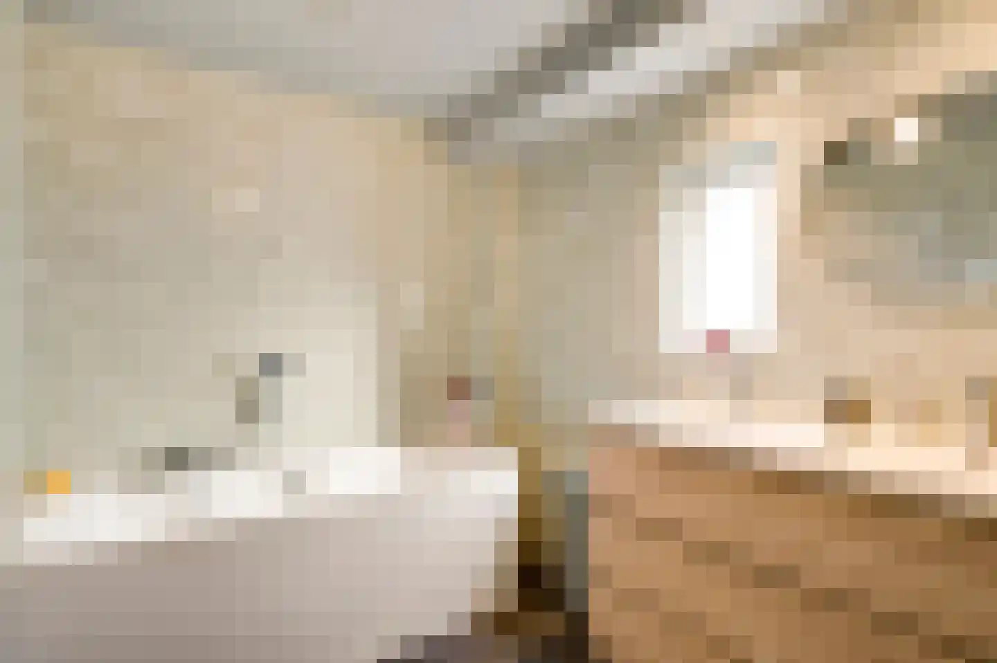Hoeven 3 Nederweert-Eind thumbnail 19