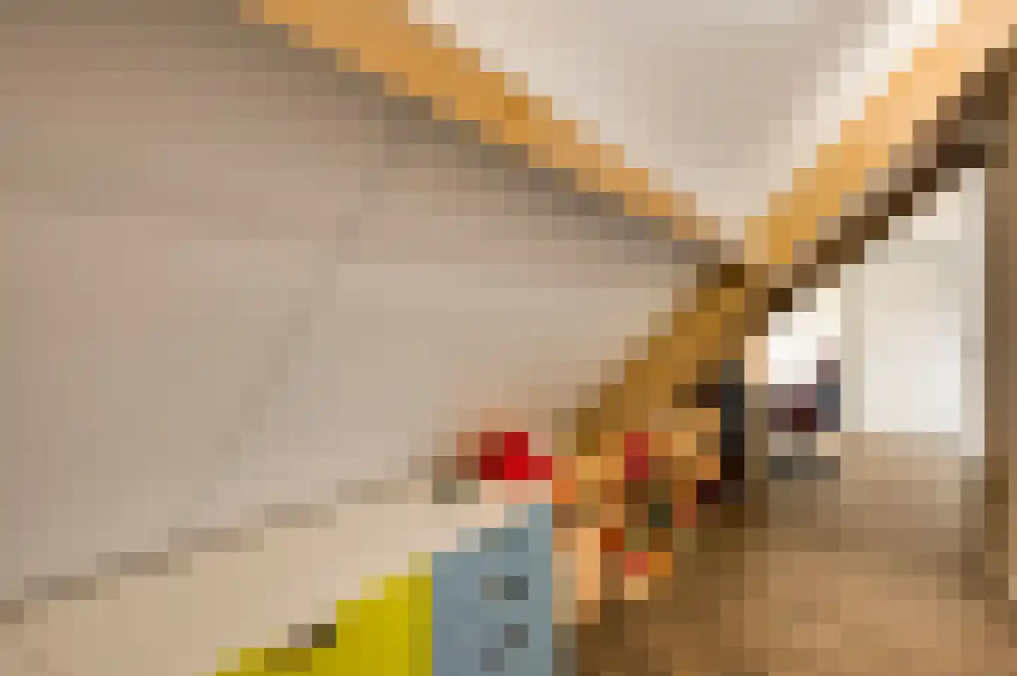 Hoeven 3 Nederweert-Eind thumbnail 25