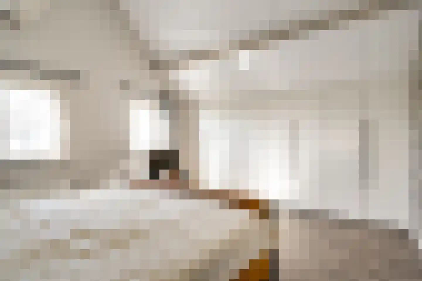 Hoeven 3 Nederweert-Eind thumbnail 27