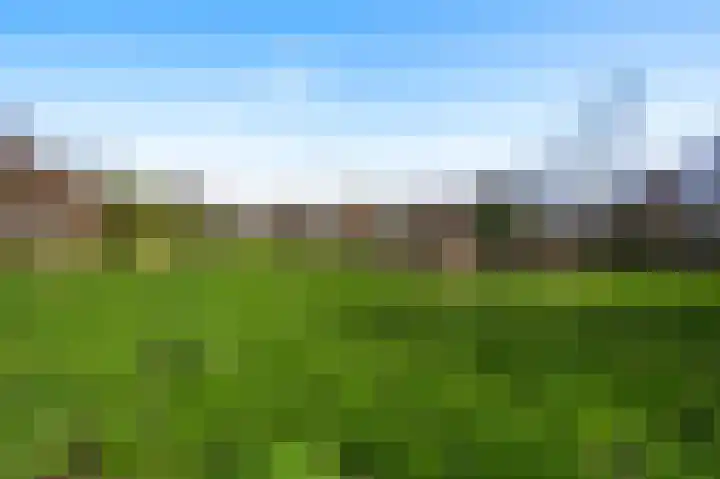 Hoeven 3 Nederweert-Eind thumbnail 43