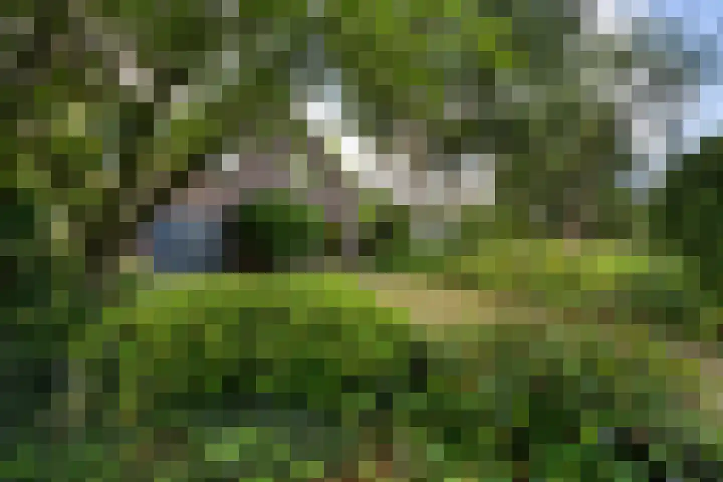 Hoeven 4 Nederweert-Eind thumbnail 13