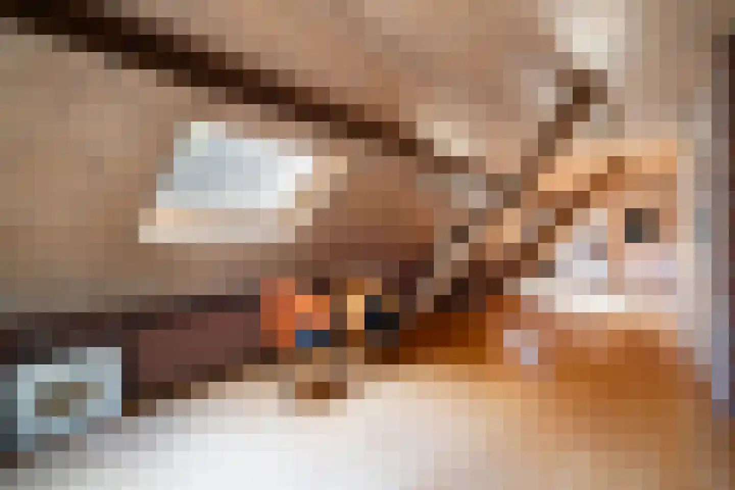 Hoeven 4 Nederweert-Eind thumbnail 39