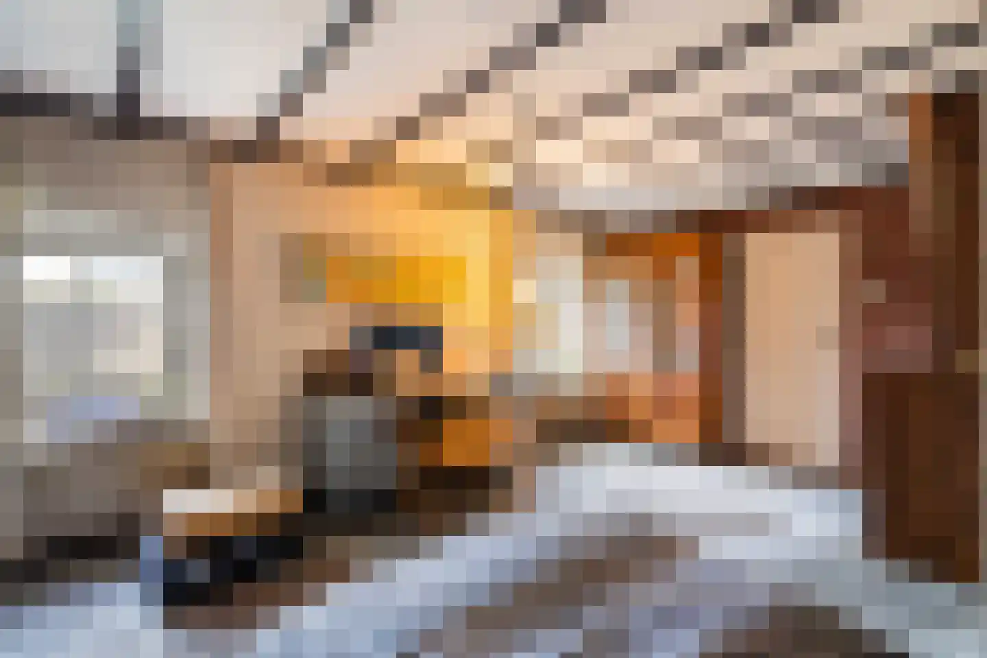 Hoeven 4 Nederweert-Eind thumbnail 47