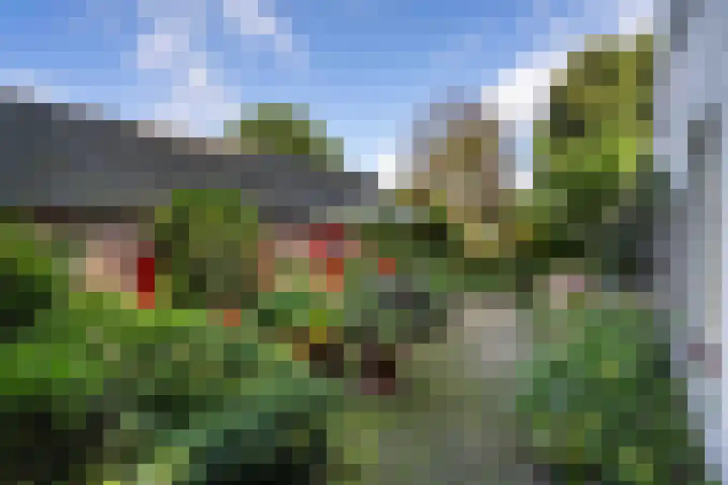Hoeven 4 Nederweert-Eind thumbnail 56