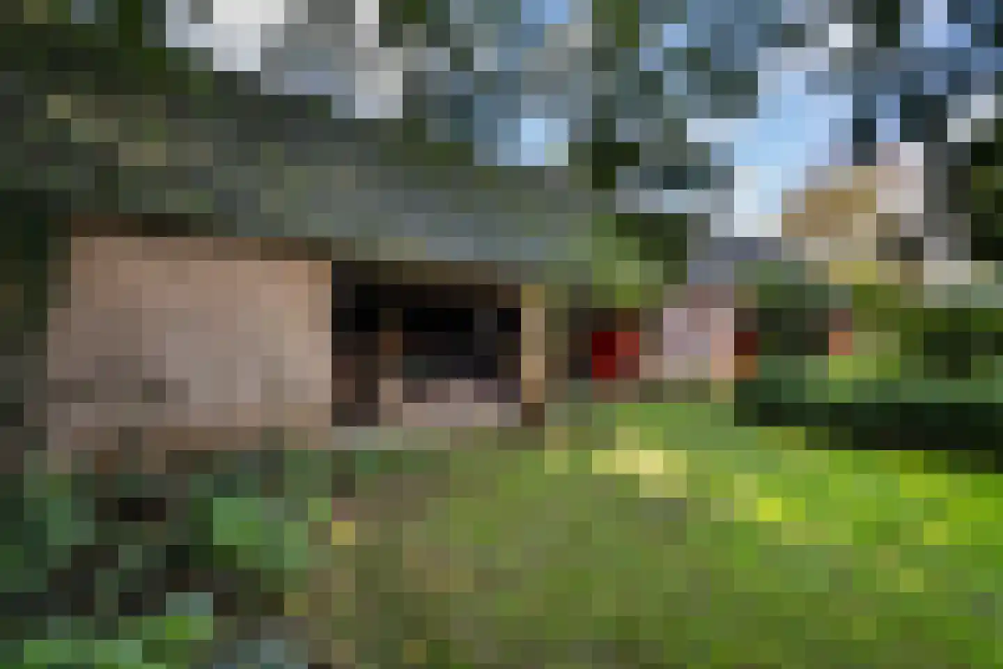 Hoeven 4 Nederweert-Eind thumbnail 58