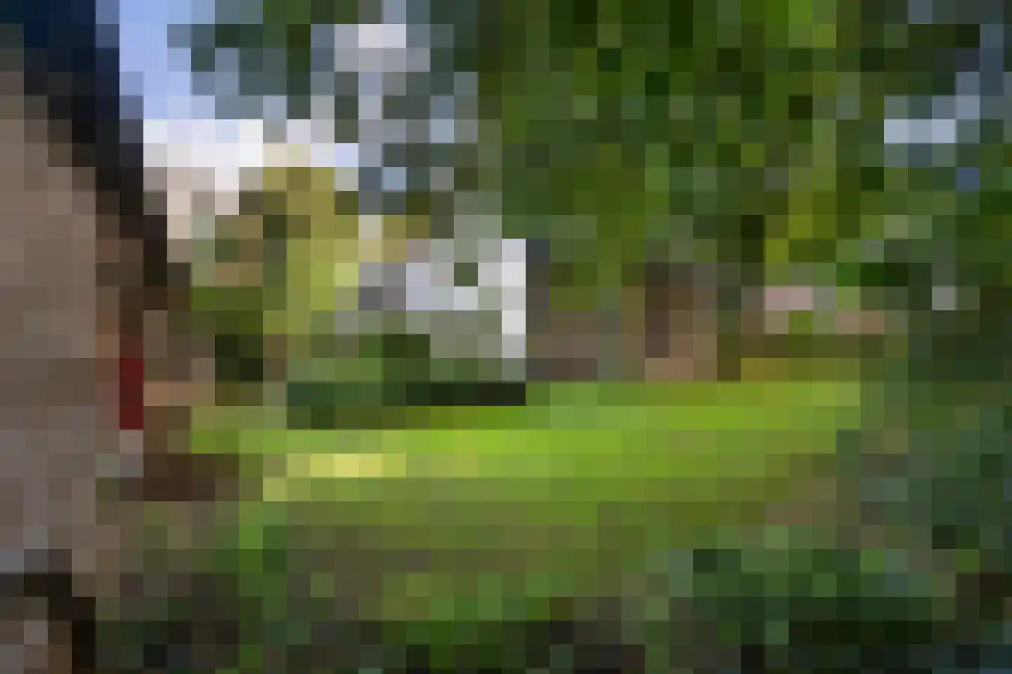 Hoeven 4 Nederweert-Eind thumbnail 6