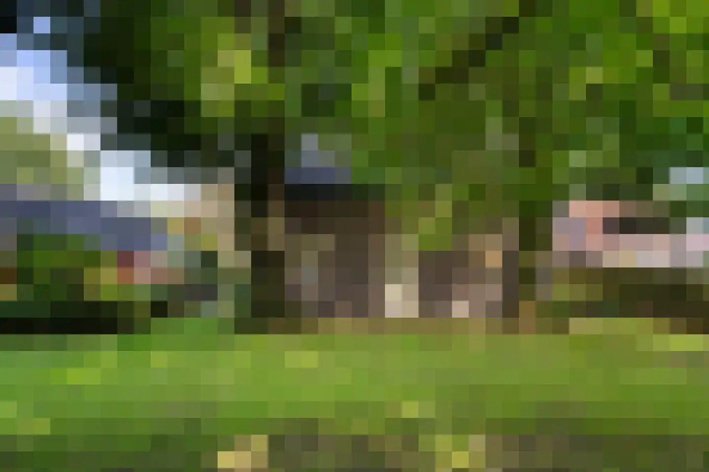 Hoeven 4 Nederweert-Eind thumbnail 62