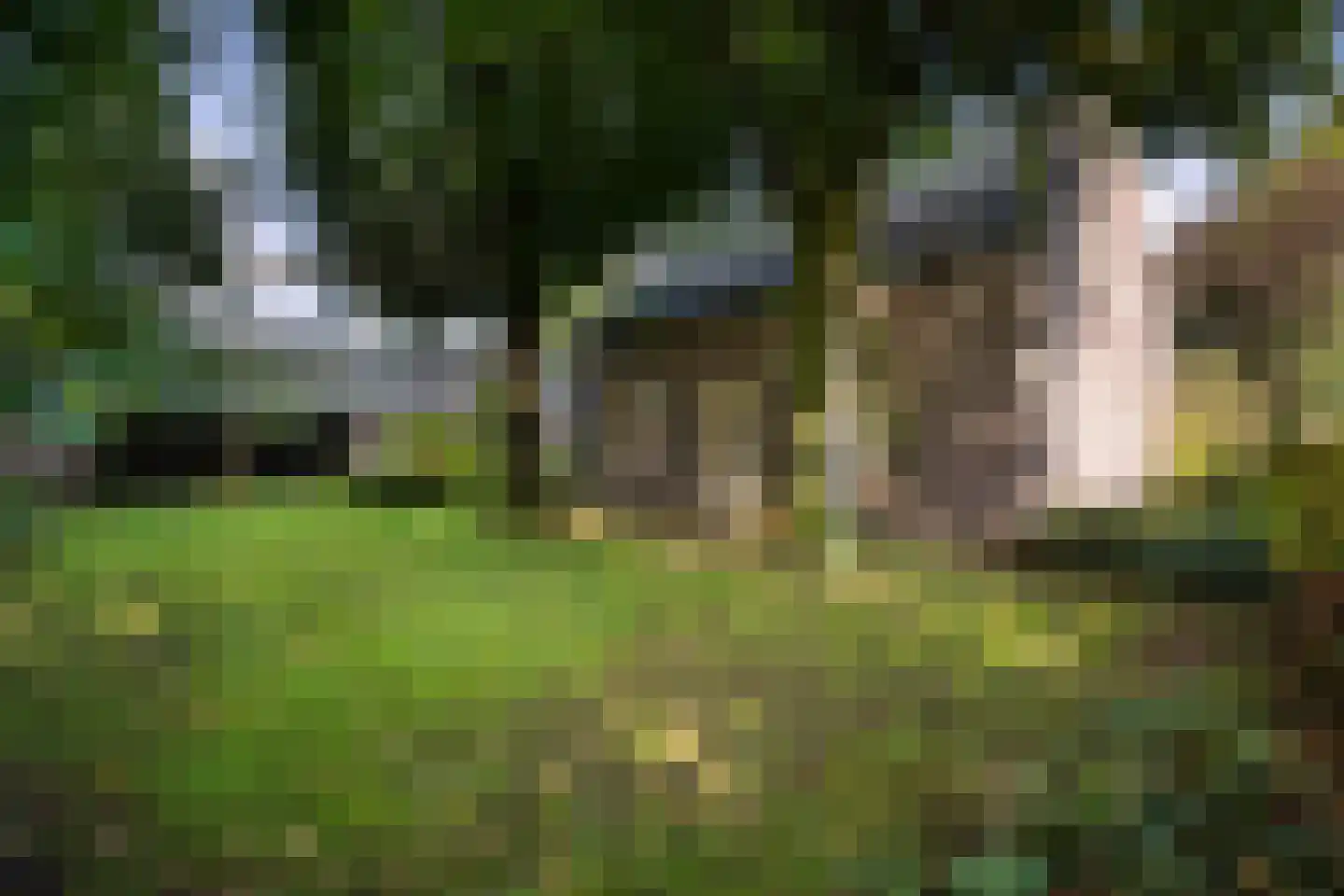 Hoeven 4 Nederweert-Eind thumbnail 63
