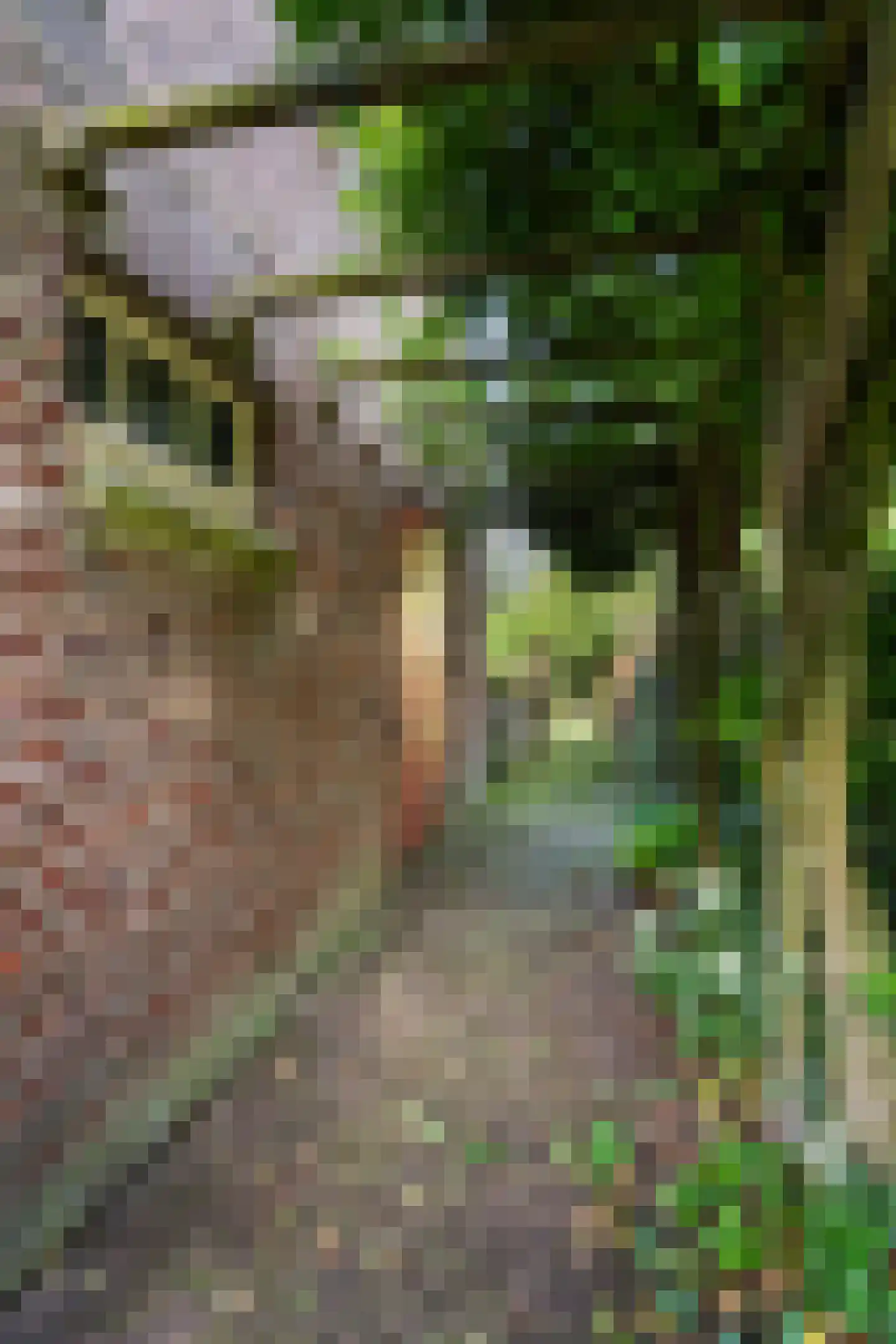 Hoeven 4 Nederweert-Eind thumbnail 64