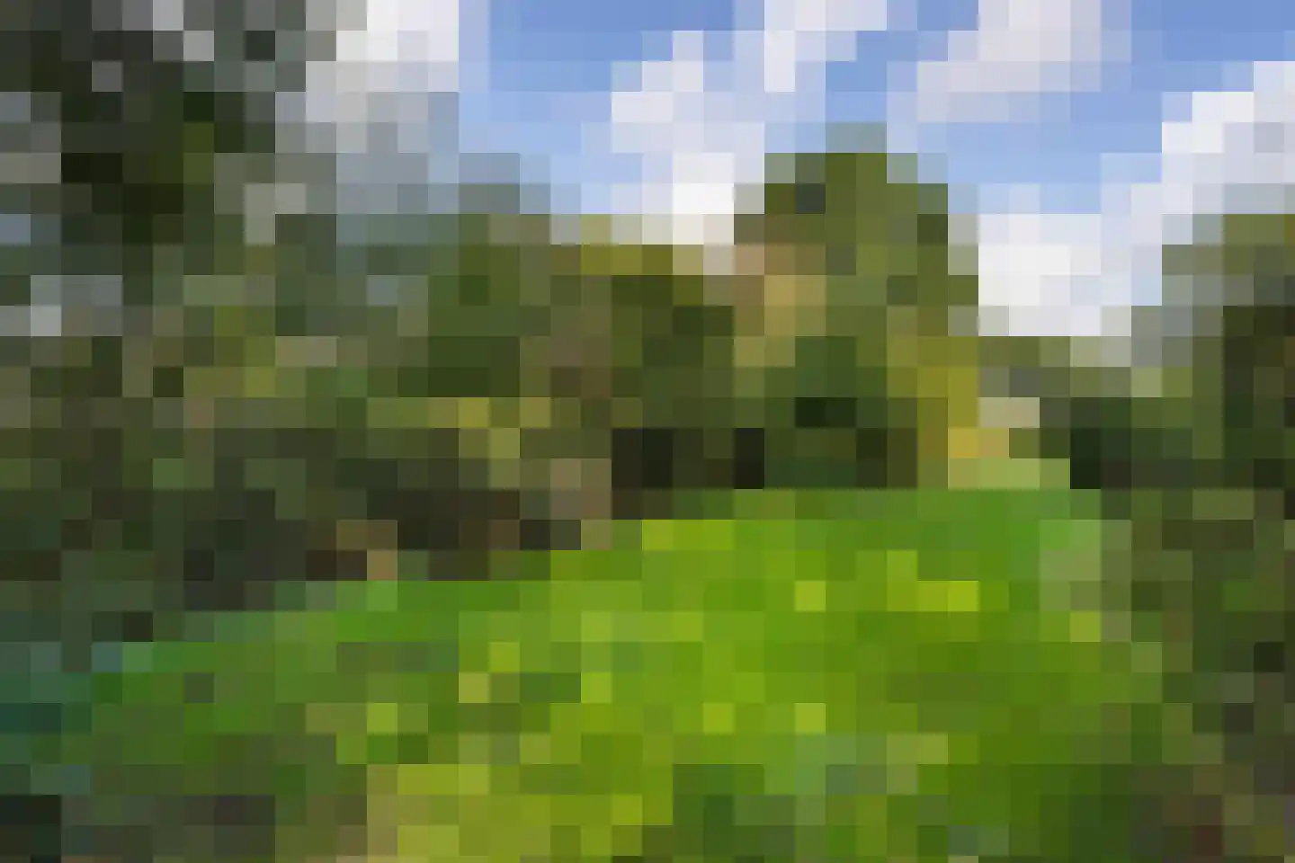 Hoeven 4 Nederweert-Eind thumbnail 65