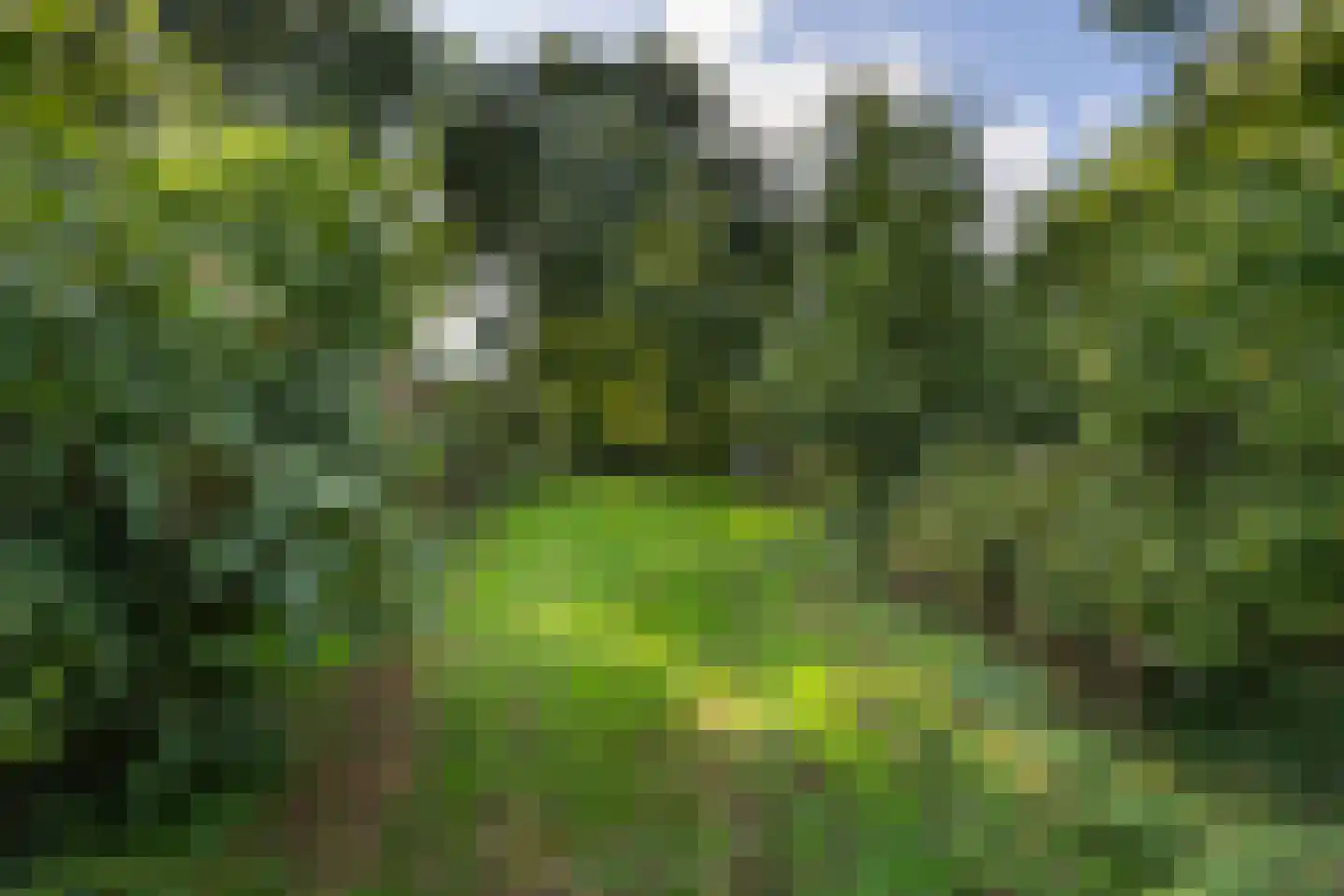 Hoeven 4 Nederweert-Eind thumbnail 67