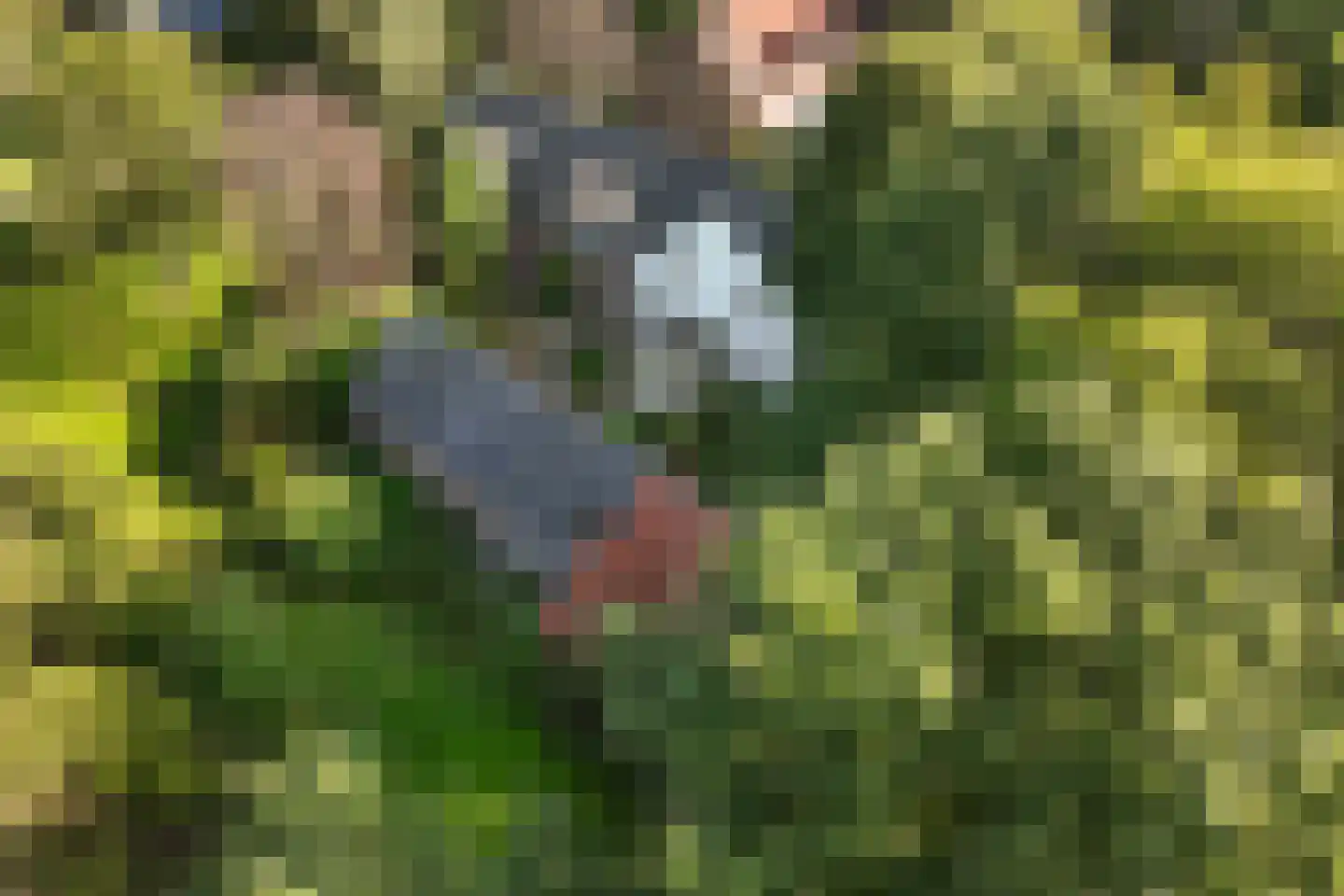 Hoeven 4 Nederweert-Eind thumbnail 7