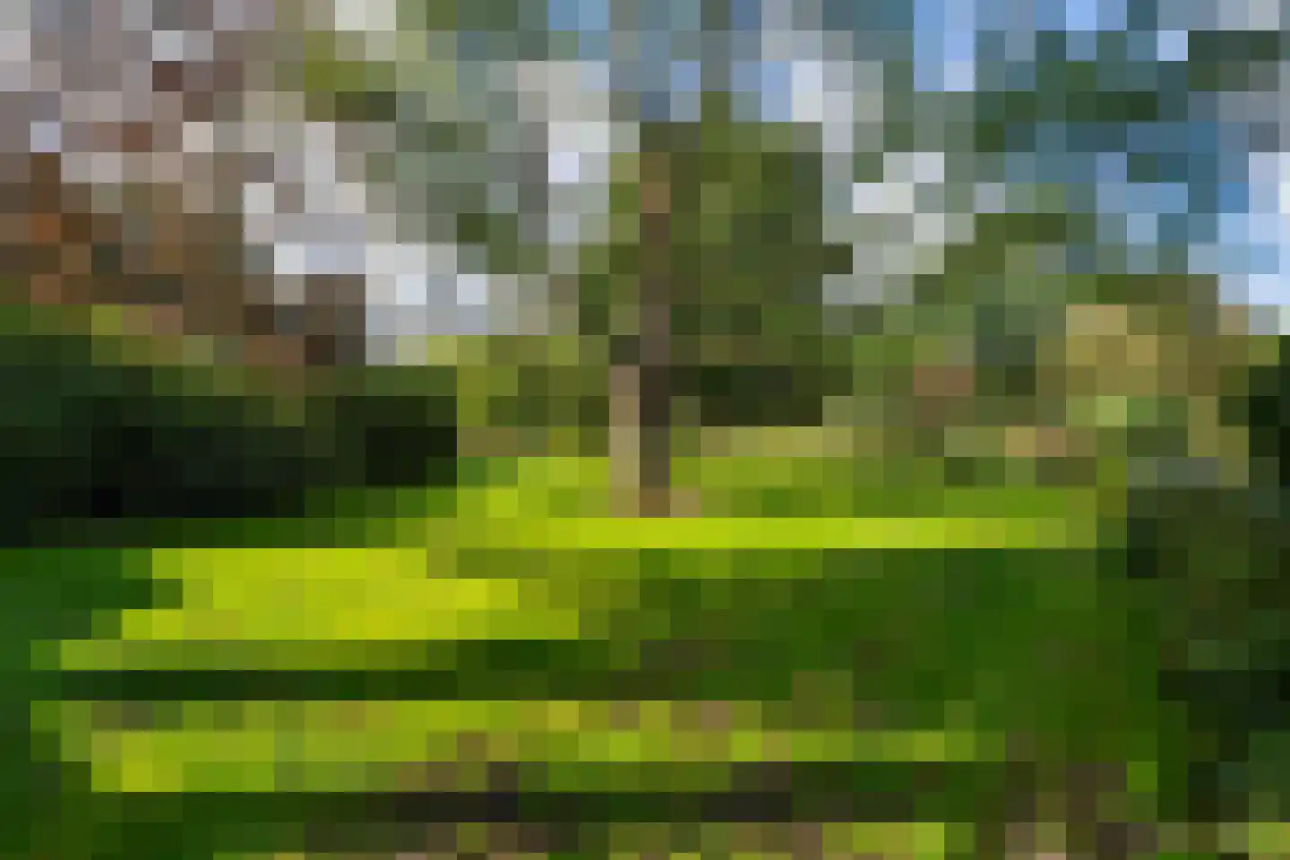 Hoeven 4 Nederweert-Eind thumbnail 70