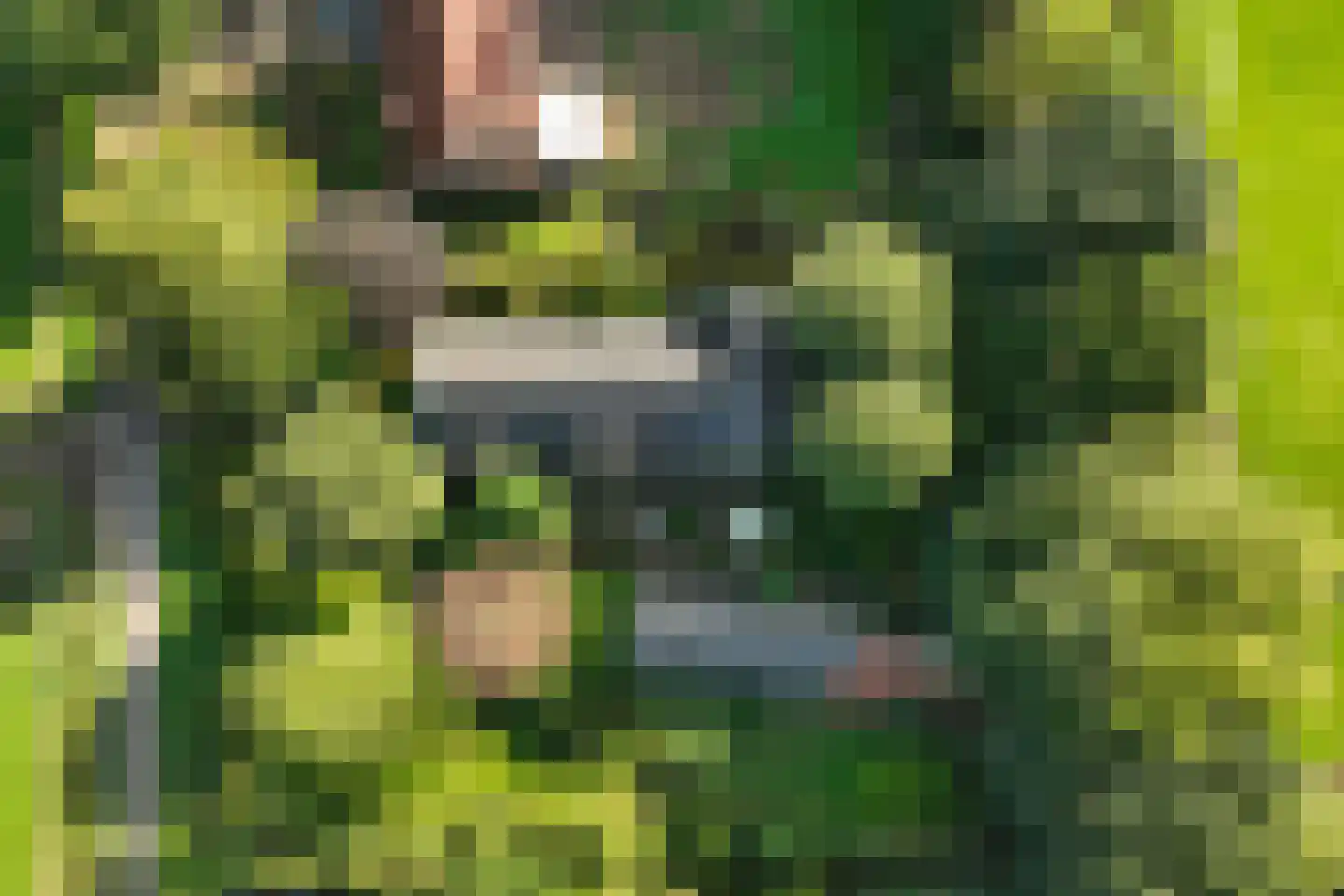 Hoeven 4 Nederweert-Eind thumbnail 73