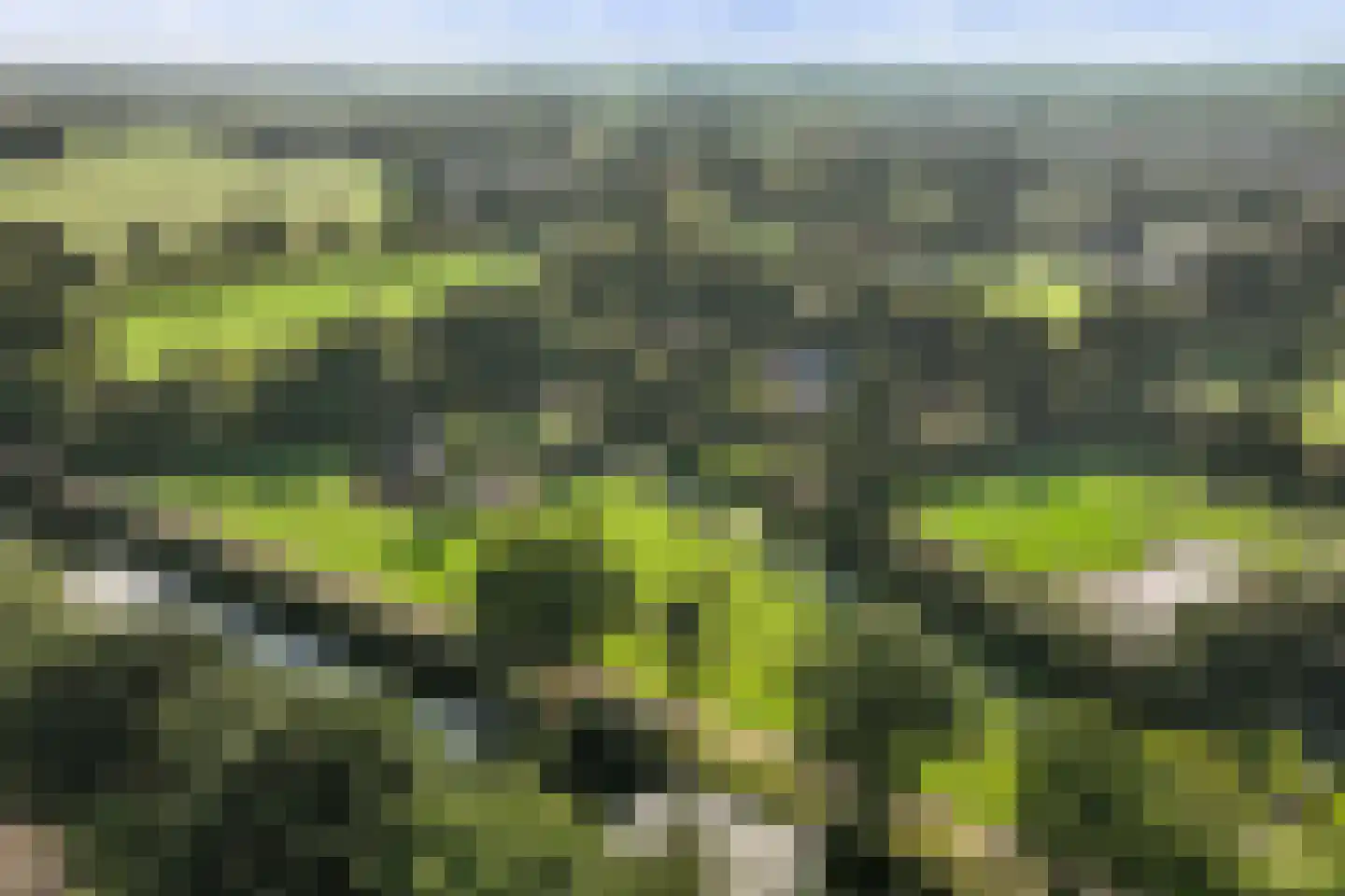 Hoeven 4 Nederweert-Eind thumbnail 74