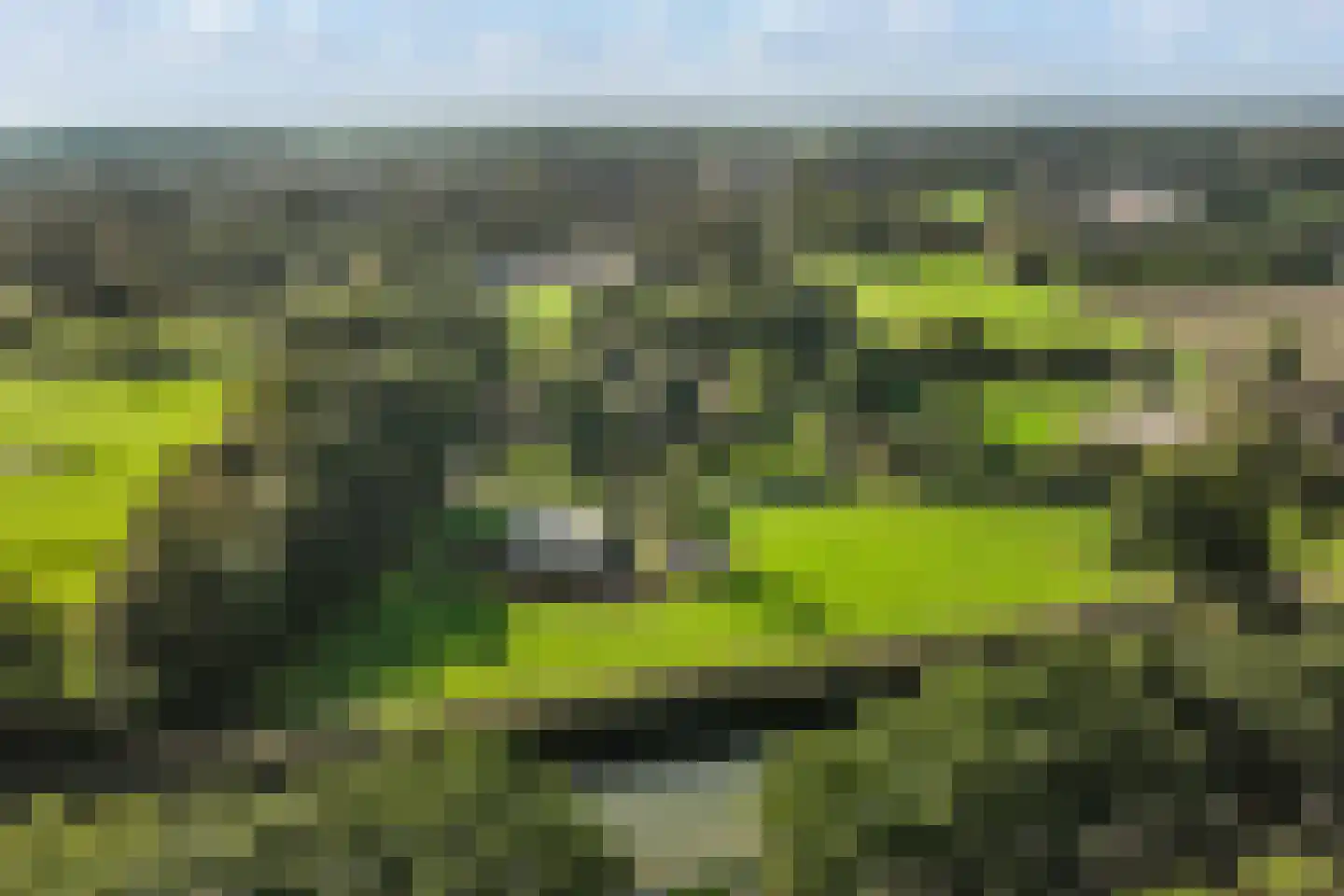 Hoeven 4 Nederweert-Eind thumbnail 75